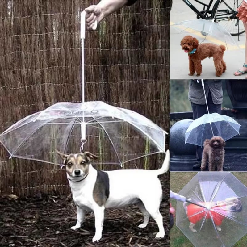 Creative Teddy Poodle Small Dogs Leading Umbrellas Walking Dogs Traveling Out Dogs Waterproof Poncho Pet Products