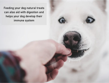 Pure Collagen Sticks X 20 Natural Healthy Choice Dog Chew and Treat DCP
