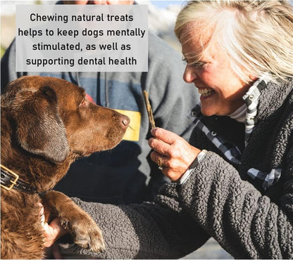 Pure Collagen Sticks X 20 Natural Healthy Choice Dog Chew and Treat DCP