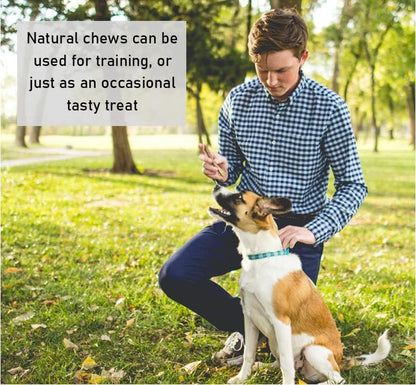 Pure Collagen Sticks X 20 Natural Healthy Choice Dog Chew and Treat DCP
