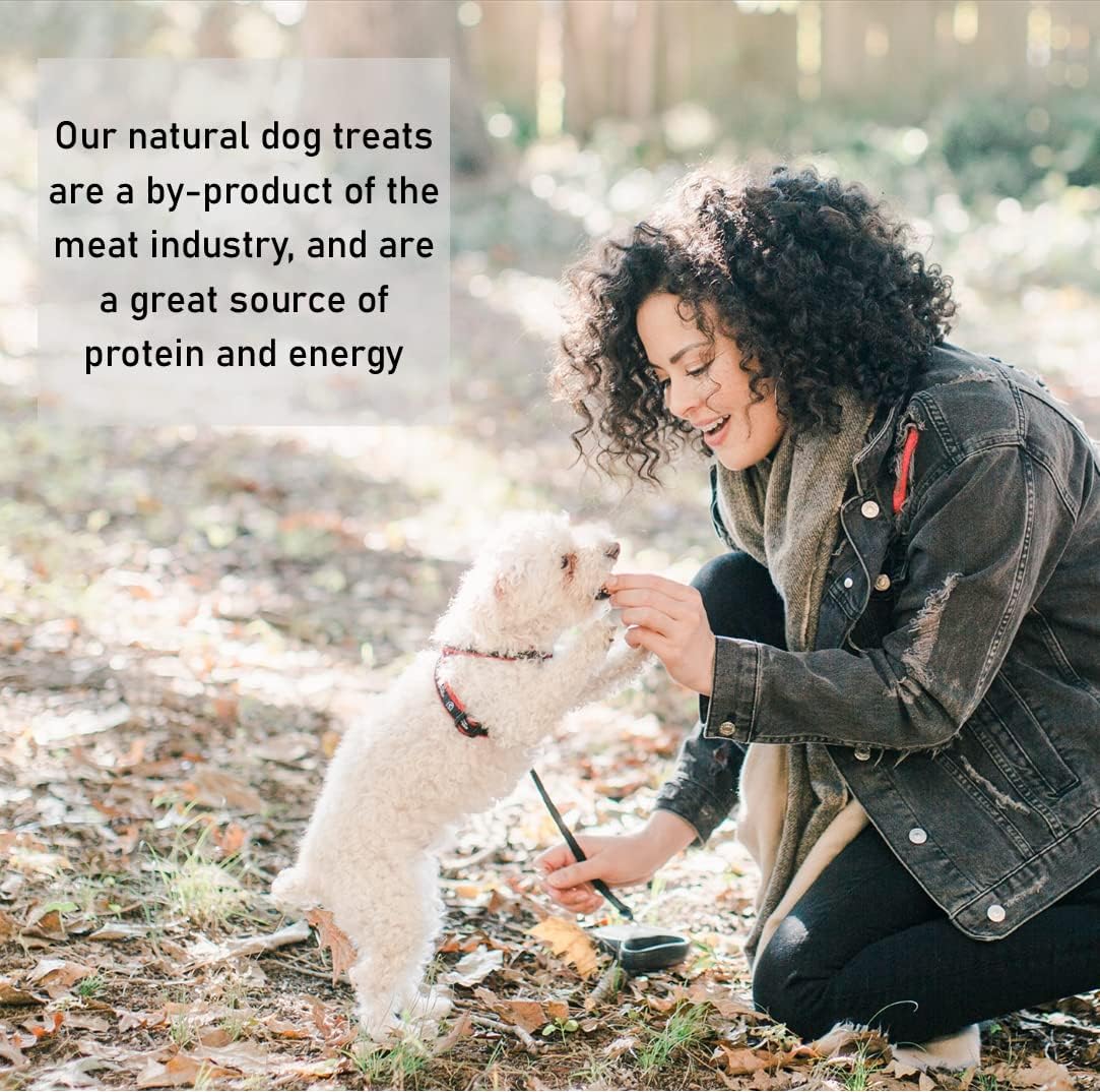 Pure Collagen Sticks X 20 Natural Healthy Choice Dog Chew and Treat DCP