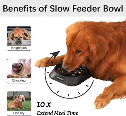 Basic Dog Bowls, Anti-Choking Puzzle Interactive Slow Feeder Dog Bowl to Slow down Eating for Small and Medium Dogs, Black 2 Cups(7.8 In)